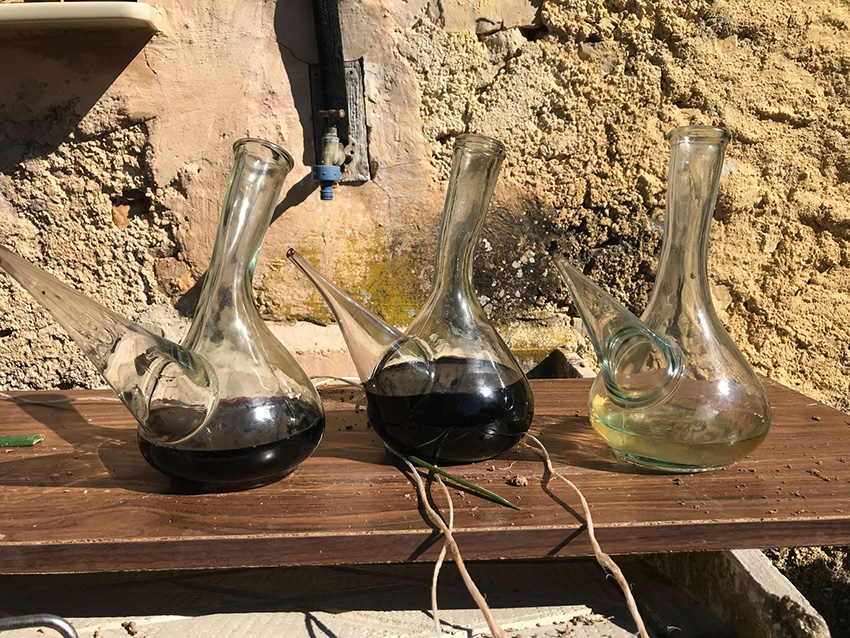 29 Calcotata 2018